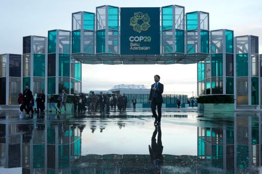 cop 29